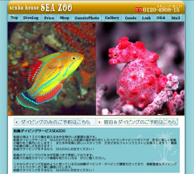 柏島ダイビングサービスSEAZOO HPへ 柏島ダイビングサービスSEAZOO HPへ